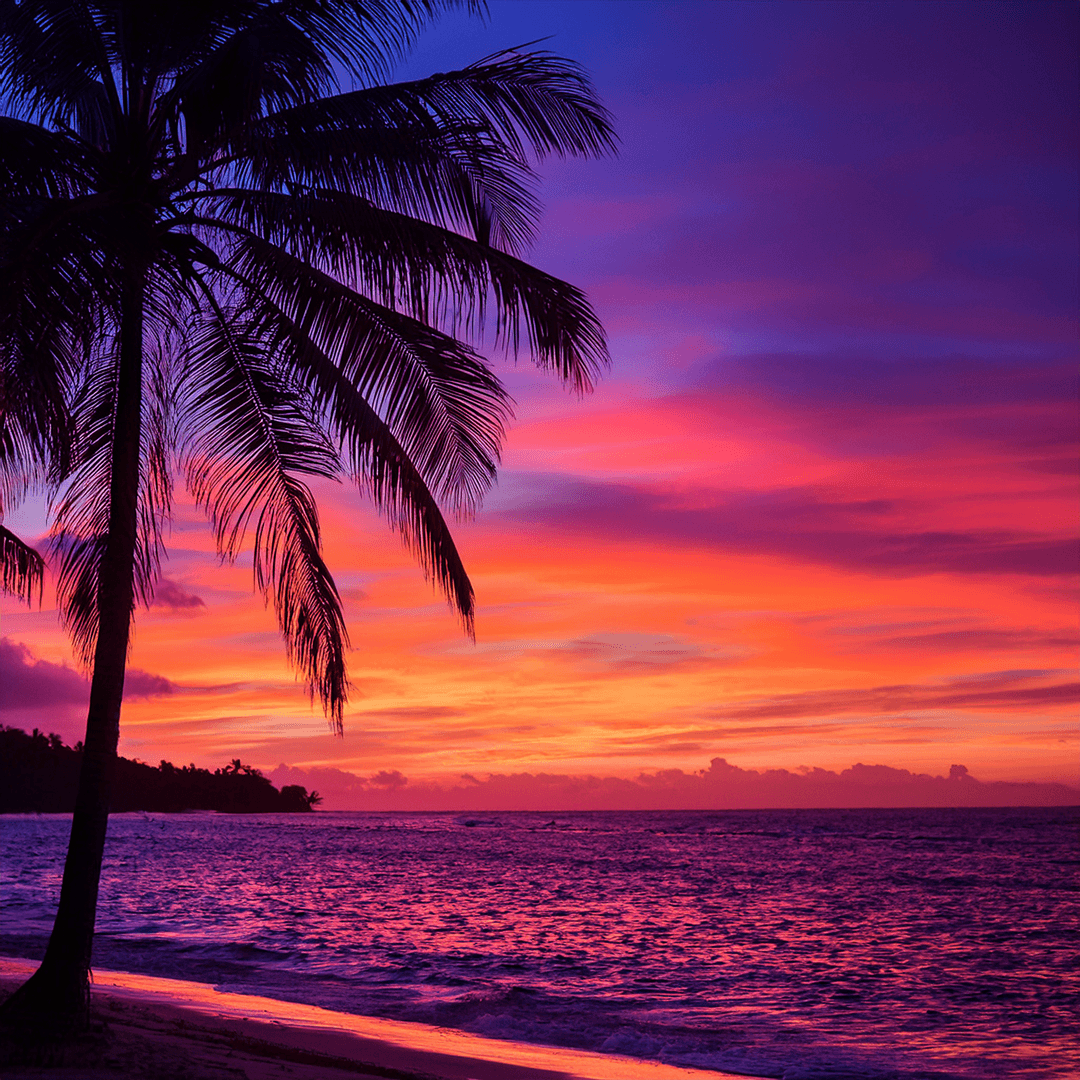 Two Coyotes Nature School